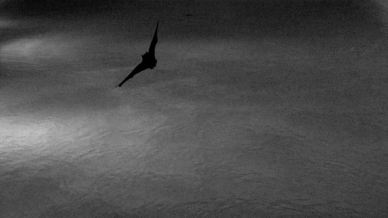 Mercury Revisited