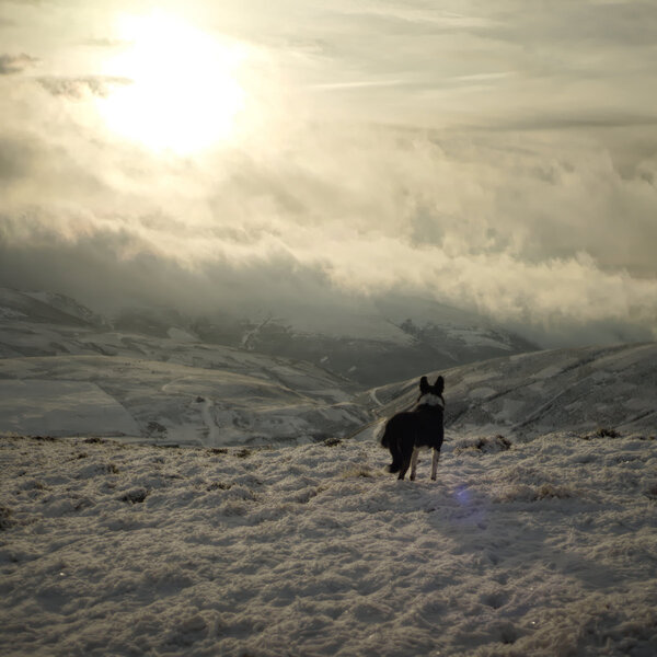 Five Walks on Wanlock Dod