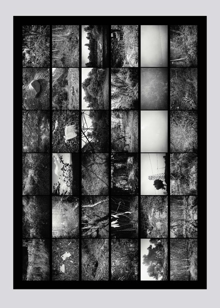 Acts of Making / Acts of Transgression II