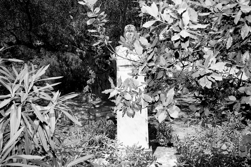 Tending An Olive Tree