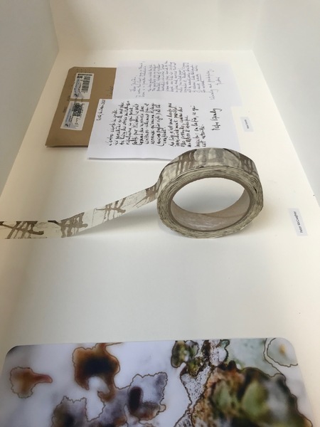 Peter McCaughey tape