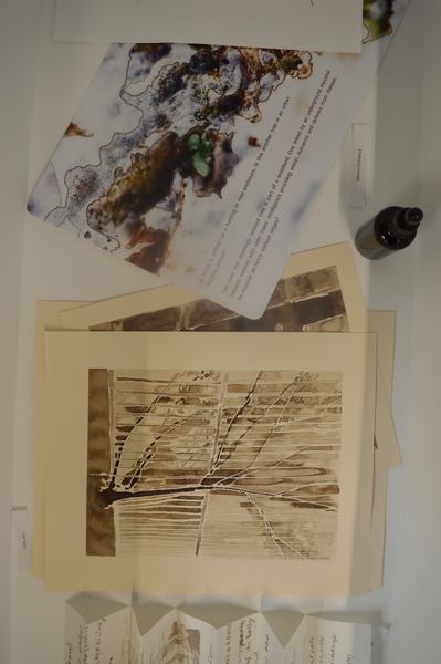 Cat Tams and Edwina FitzPatrick drawings