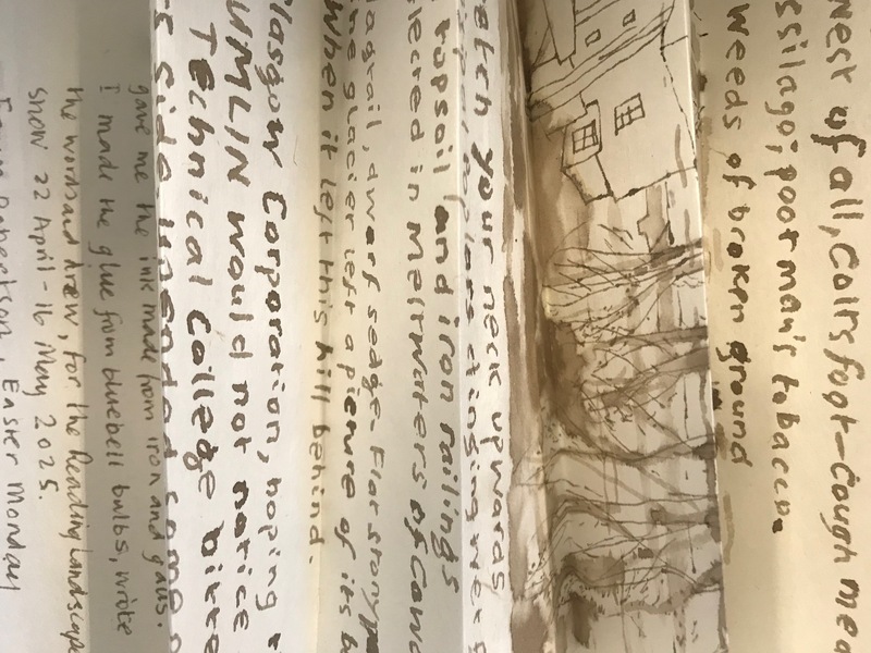 Frances Robertson drawing/text