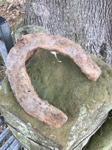 Untitled (horseshoe ink)