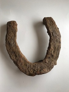 Untitled (horseshoe ink)