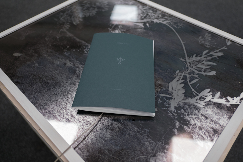 (Reading 1 – The Book / Object) The Olive Tree
