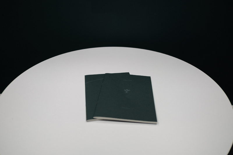 (Reading 1 – The Book / Object) The Olive Tree