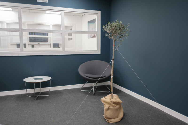 (Reading 1 – The Book / Object) The Olive Tree