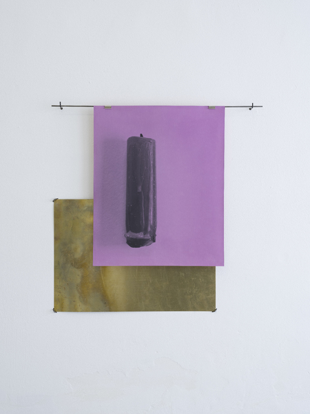 Some Thing Left Behind, 2021 Silver gelatin print, steel, gun-black, Dylon dye, hibiscus, Malbec, velvet, brass, 63x67x3.7cm