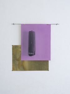 Some Thing Left Behind, 2021 Silver gelatin print, steel, gun-black, Dylon dye, hibiscus, Malbec, velvet, brass, 63x67x3.7cm