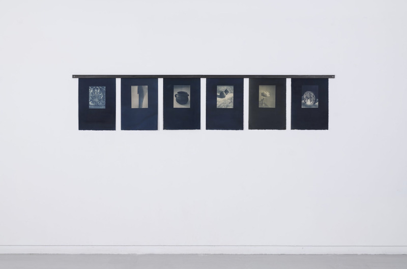 Vegetal Indifference, 2023 Stained cherry, Cyanotypes on BFK Rives Paper toned with marjoram, green tea, coffee, mugwort and silver birch