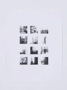 House Plants, 2023 Silver Gelatin Print, 50.8 x 55.8cm