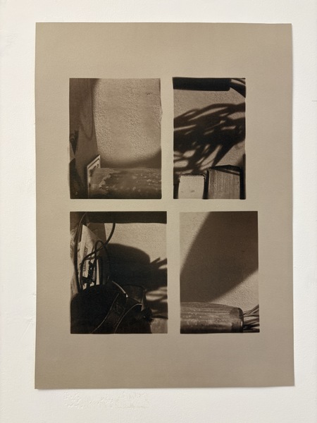 Interiors (II), 2025, Cyanotype edition on cotton rag toned with Cotinus, 46x40cm