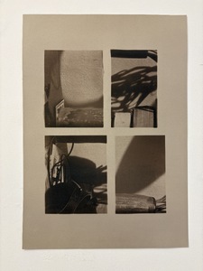 Interiors (II), 2025, Cyanotype edition on cotton rag toned with Cotinus, 46x40cm