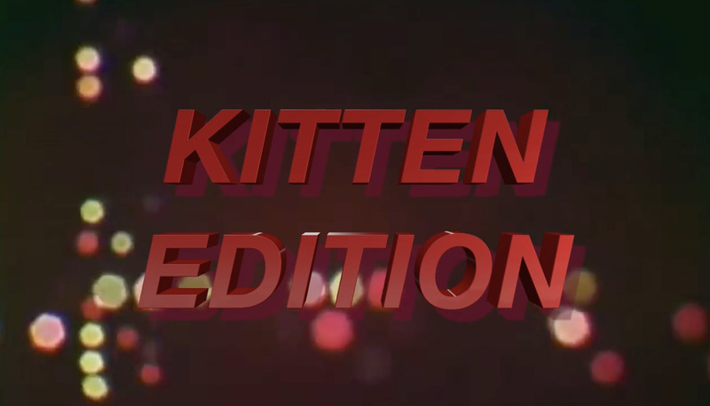 Virtual Reality Porn Female P.O.V. Kitten Edition (8:23 mins, 2016)