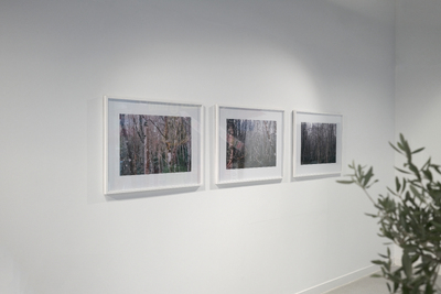 "Midwinter"
