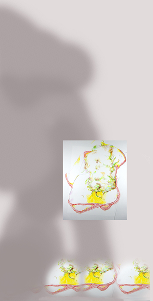 Process image: Curtain panel 11