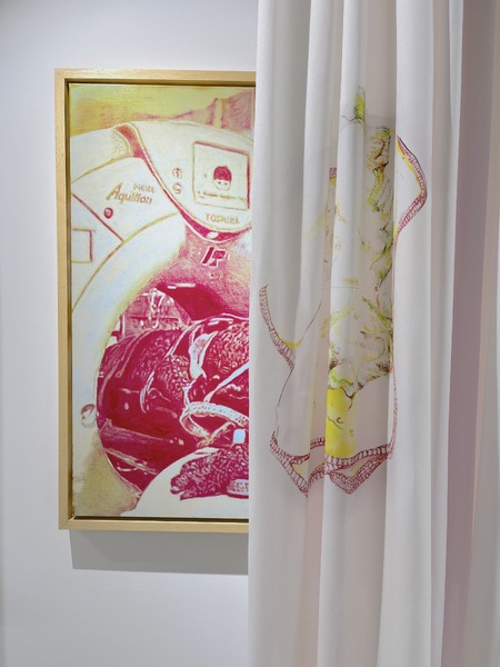 Exquisite Imaginary Cure exhibition view with Alek Mechlinski and Zoë Mendelson works