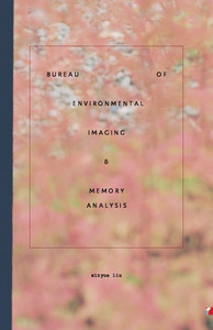 Bureau of Environmental Imaging and Memory Analysis