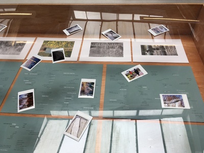 Hamiltonhill Claypits:  After images, After things, After us