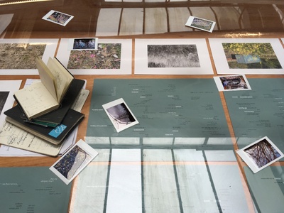 Hamiltonhill Claypits:  After images, After things, After us