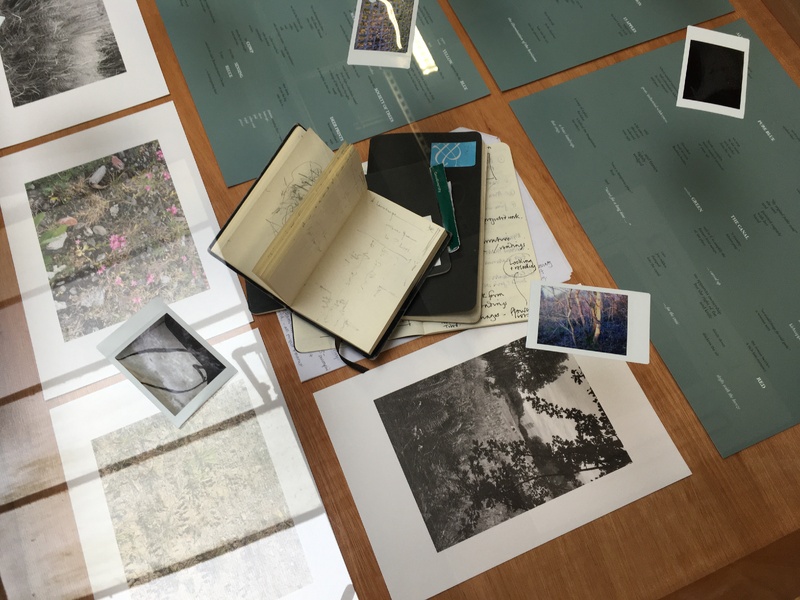 Hamiltonhill Claypits:  After images, After things, After us