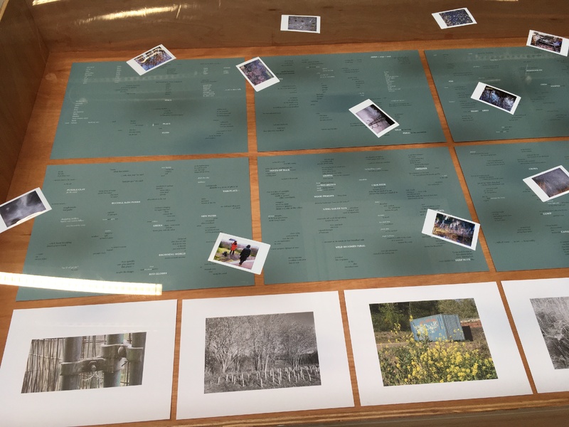 Hamiltonhill Claypits:  After images, After things, After us