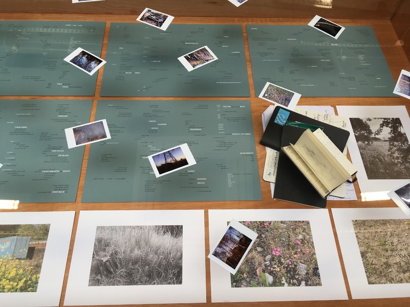 Hamiltonhill Claypits:  After images, After things, After us