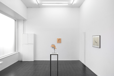 FUNCTION CREEPS (Exhibition)