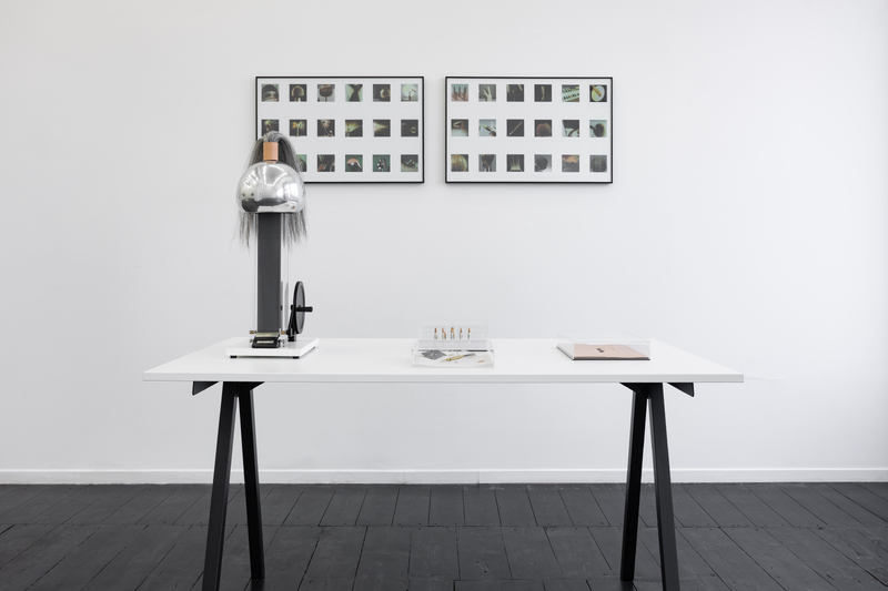 FUNCTION CREEPS (Exhibition)