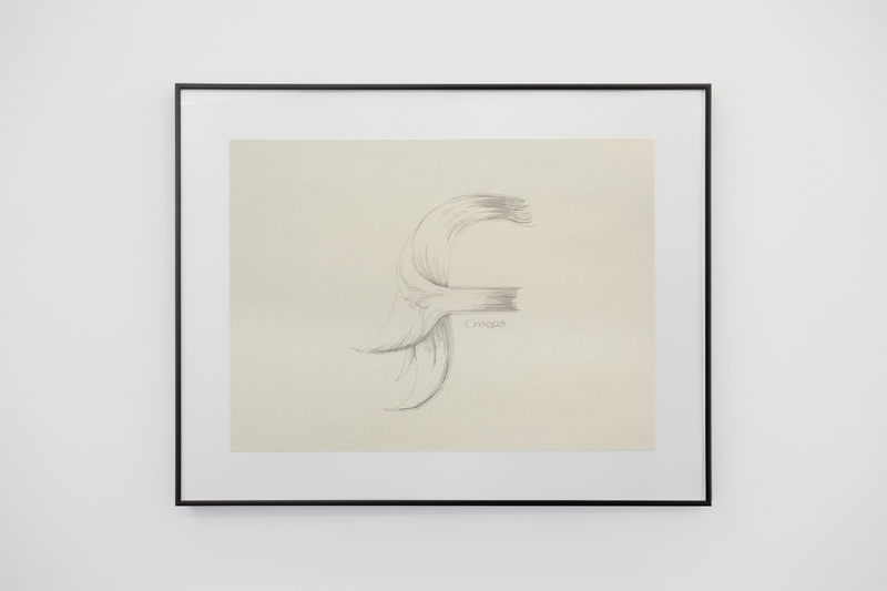 FUNCTION CREEPS (Exhibition)