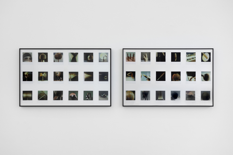 FUNCTION CREEPS (Exhibition)