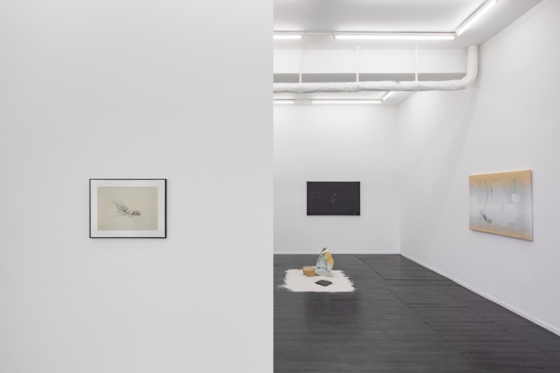 FUNCTION CREEPS (Exhibition)