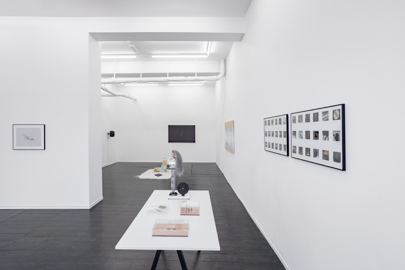 FUNCTION CREEPS (Exhibition)
