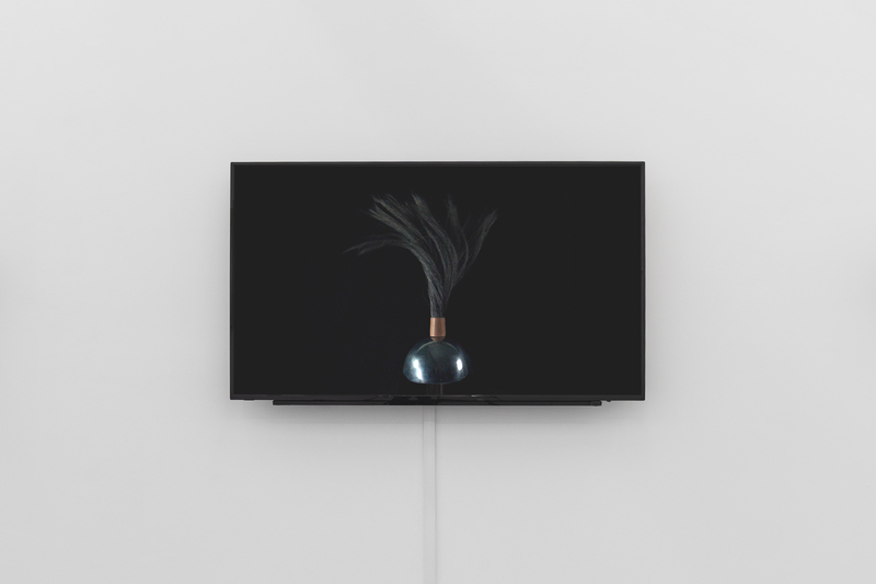 FUNCTION CREEPS (Exhibition)