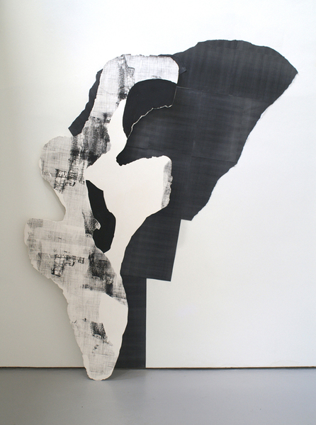A Solitary Act, 2009, Screen print, plaster, photocopy paper, 1.65m x 2.15m