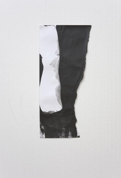 A Small Fragment, 2009, Screen print, 20 x 42 cm