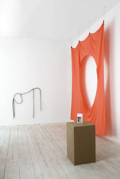  Installation view, Esse Quam Videri