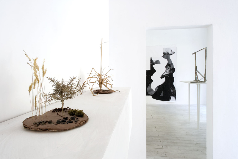  Installation view, Esse Quam Videri
