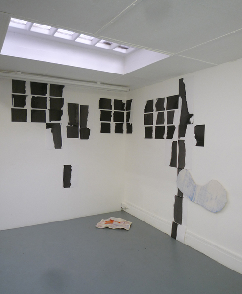 The Plurality of Possible Participation, 2010, Unique screen print,       Dimensions variable.