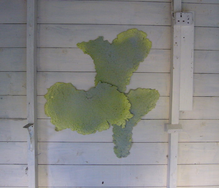Untitled, paper pulp. 2008, 60cm x 70cm