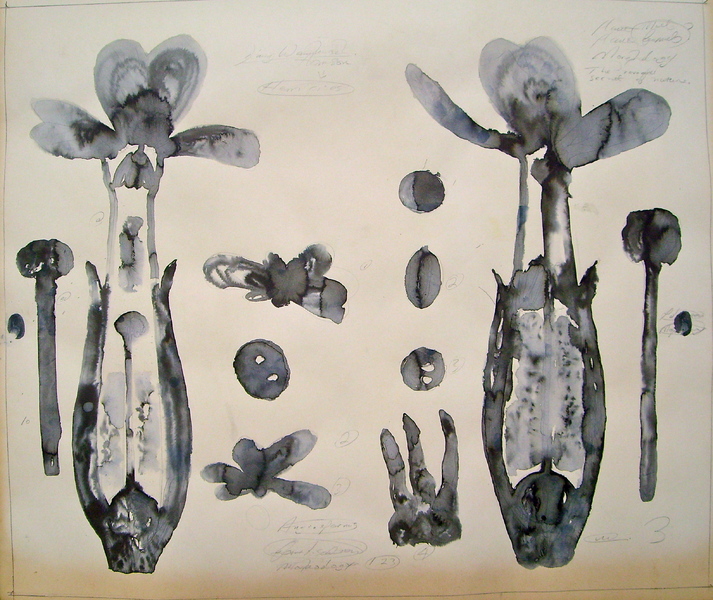 'Still spaces', the allotment exhibition