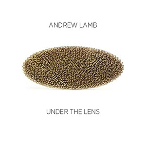 'Lenticular' Jewellery