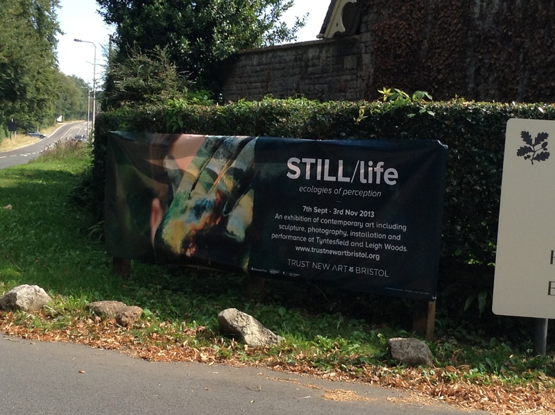 STILL/Life - ecologies of perception at Tyntesfield