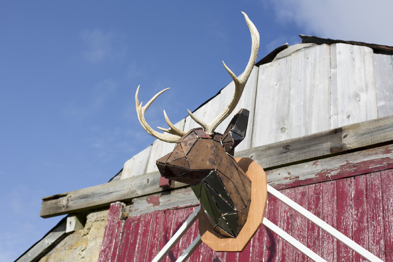 The Story of the Stag