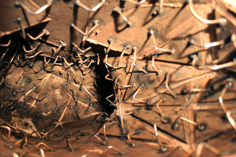 The Story of the Stag