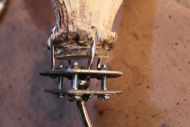 The Story of the Stag