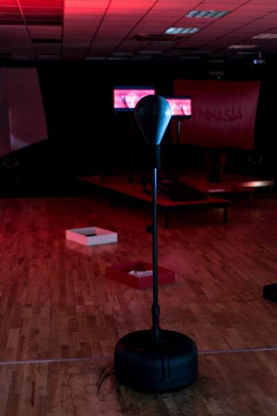 GYMNASIA