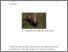 [thumbnail of Columba1.pdf]