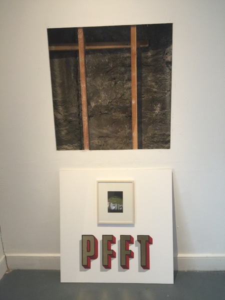 Edinburgh Art Festival, Platform: 2016, invited co-curator.